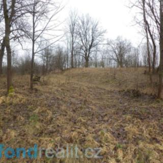 Prodej ostatního pozemku 735 m² Moravský Beroun Čabová