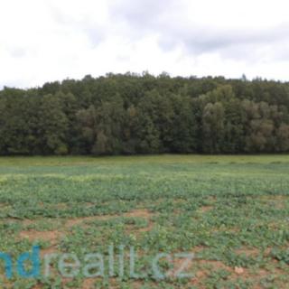 Prodej zemědělské půdy 1 718 m² Rosovice Sychrov