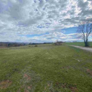 Prodej zemědělské půdy 13 129 m² Příkrý