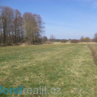 Prodej ostatního pozemku 4 291 m² Dolní Pěna