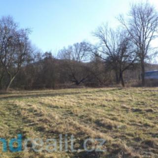 Prodej ostatního pozemku 11 003 m² Řehlovice Radejčín