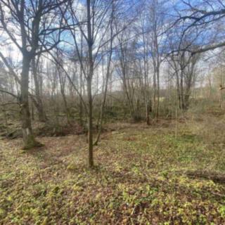 Prodej stavební parcely 1074 m² Staré Město pod Landštejnem