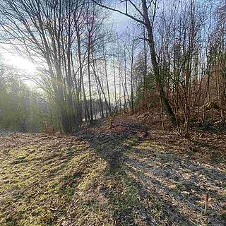 Prodej zemědělské půdy 1005 m&sup2; Benešov u Semil