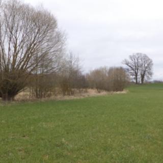 Prodej zemědělské půdy 11 340 m² Jindřichův Hradec Dolní Radouň