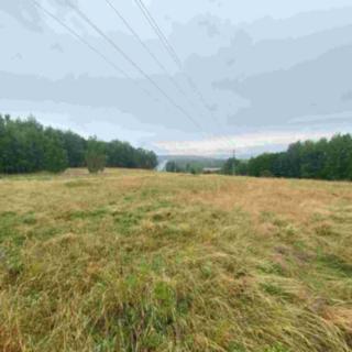 Prodej zemědělské půdy 49 321 m² Nové Sedlo Loučky