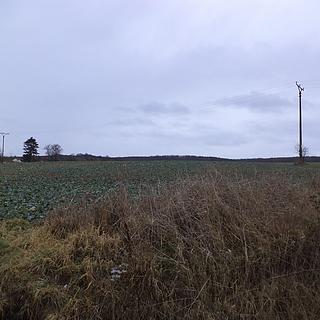 Prodej ostatních pozemků 6867 m² Morkůvky