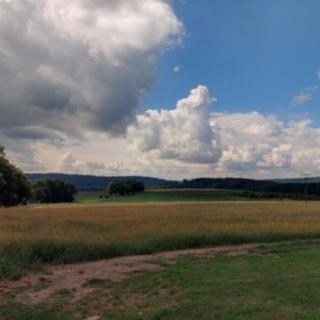 Prodej ostatního pozemku 4 321 m² Hluboká nad Vltavou Kostelec