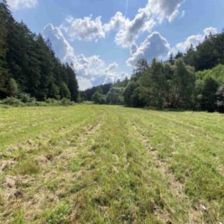 Prodej zemědělské půdy 843 m² Kaplice Blansko