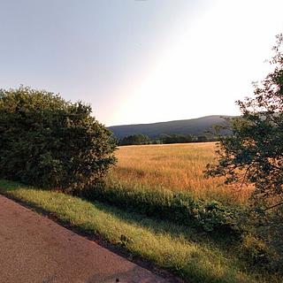 Prodej ostatního pozemku 278 m² Proseč pod Ještědem Javorník