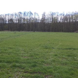 Prodej zemědělské půdy 23 048 m² Tachov