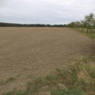 Prodej ostatního pozemku 1 227 m² Radošovice Tupesy