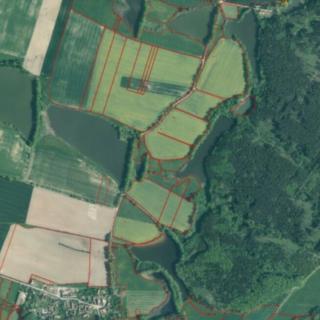 Prodej ostatního pozemku 2 121 m² Drahonice Albrechtice
