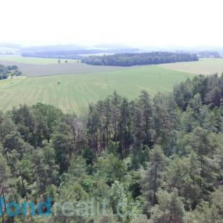 Prodej lesa 3 299 m² Šebířov Křekovice