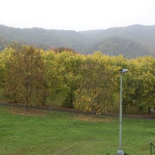 Prodej ostatního pozemku 2 064 m² Ústí nad Labem Mojžíř