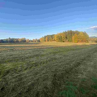 Prodej zemědělské půdy 7470 m&sup2; Cvikov