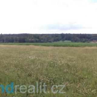Prodej ostatního pozemku 8 259 m² Roudné