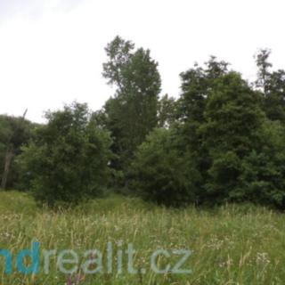 Prodej zemědělské půdy 8654 m² Záluží