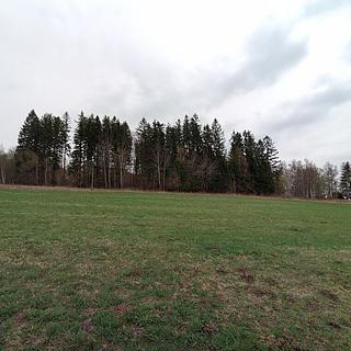 Prodej zemědělské půdy 2 218 m² Černá v Pošumaví