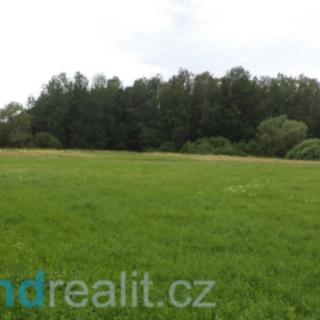 Prodej zemědělské půdy 5 581 m² Česká Lípa Žizníkov