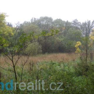 Prodej zahrady 1 281 m² Biskupice-Pulkov Biskupice