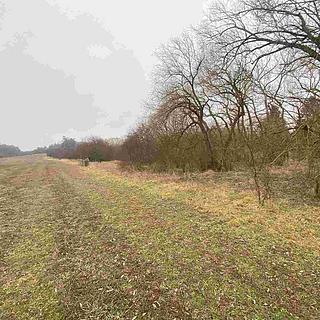 Prodej ostatního pozemku 1 097 m² Písečné Marketa