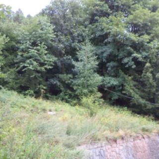 Prodej stavební parcely 947 m² Svoboda nad Úpou
