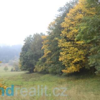 Prodej zemědělské půdy 35 381 m² Přimda Málkov