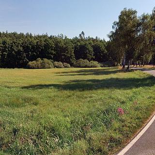 Prodej zemědělské půdy 8 684 m² Vodňany Újezd