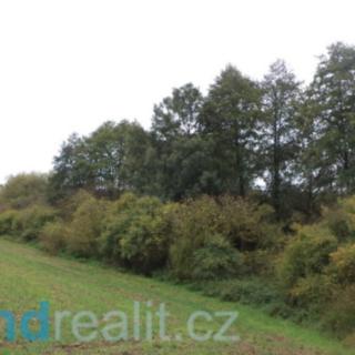 Prodej ostatních pozemků 3639 m² Písečné