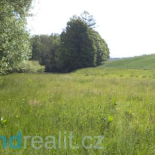 Prodej ostatního pozemku 2 746 m² Pluhův Žďár Červená Lhota