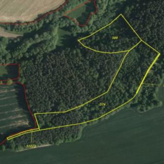 Prodej ostatního pozemku 31 681 m² Křečovice Nahoruby