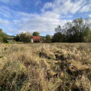 Prodej stavební parcely 3 207 m² Králíky Horní Lipka