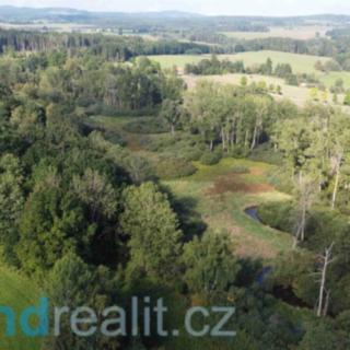 Prodej ostatního pozemku 24 285 m² Dolní Dvořiště Rychnov nad Malší