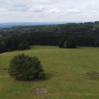 Prodej zemědělské půdy 7363 m² Březová