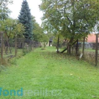 Prodej ostatního pozemku 497 m² Ločenice