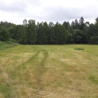 Prodej ostatního pozemku 2 389 m² Chlum u Třeboně Mirochov