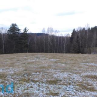 Prodej zemědělské půdy 12 382 m² Horní Stropnice Rychnov u Nových Hradů