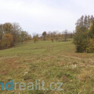 Prodej ostatního pozemku 6 670 m² Nový Jičín Žilina