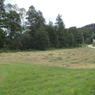 Prodej ostatního pozemku 7 089 m² Hostinné