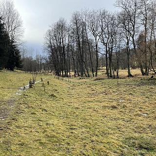 Prodej zemědělské půdy 12 095 m² Toužim Kojšovice