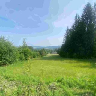 Prodej ostatních pozemků 601 m² Bošice