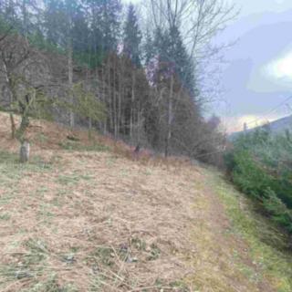 Prodej ostatního pozemku 903 m² Dolní Dobrouč Lanšperk