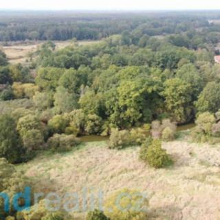 Prodej ostatního pozemku 6 582 m² Hamr