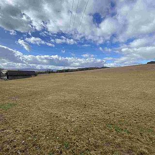 Prodej ostatních pozemků 6857 m&sup2; Bělá nad Radbuzou