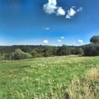Prodej ostatního pozemku 692 m² Všenory