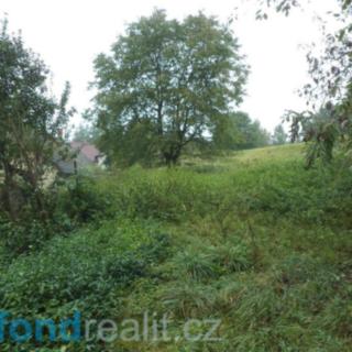 Prodej ostatních pozemků 124 m² Blažejov