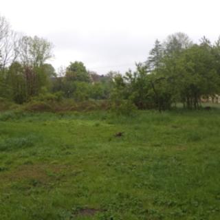 Prodej ostatního pozemku 1 387 m² Vlčice