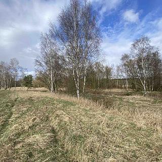 Prodej zemědělské půdy 1 524 m² Mimoň I