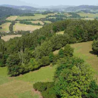 Prodej ostatního pozemku 86 m² Bohumilice