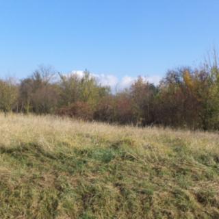Prodej zahrady 503 m² Otrokovice